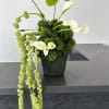 Introducing our Verdant Elegance floral arrangement &mdash; a modern composition that masterfully