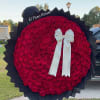 300 red roses 