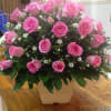 The Luciano garden is the name of tis beautiful pink color which