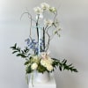 Step into paradise with "Eden," an exquisite luxury orchid arrangement that captures