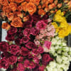Clusters of roses in orange, magenta, yellow, and white