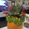 Fall Colors in an actual live pumpkin