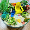 Beach Summer Succulent