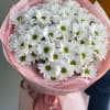 Bouquet of white daisies wrapped in pink paper