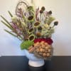 walnuts and sunflowers perfectly arranged 