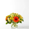Orange gerbera daisies and yellow flowers in a clear glass vase