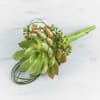 Green succulent bouquet with small buds and a satin-wrapped handle