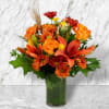 Fall Awakening captures the most striking colors of the harvest. This beautiful