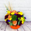 Nothing says Fall like pumpkins, so brighten someone's day with our Fall