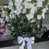 White gladiolus arrangement in a clear glass vase with a white ribbon