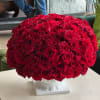 Large dome of red roses in a white pedestal vase