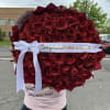 50 red roses 