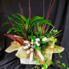 Potted green plant arrangement with burlap wrap and a polka-dot bow