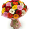 Bouquet of multicolored gerbera daisies wrapped in pink paper