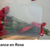 Bouquet of red roses wrapped in clear plastic with a red ribbon