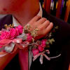 Pink rose corsage on a suit wrist with ribbon accents