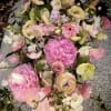 The Peony &amp; Silk Collection features luxurious floral arrangements inspired by softness