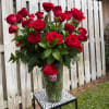 Red roses arranged in a clear glass vase with a red ribbon
