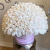 Large bouquet of white roses in a pink round box