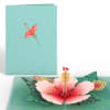 Pop-up card with a pink hibiscus flower on a teal cover