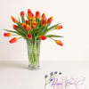 All tulips. Colors may vary
20 stems 