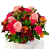 Bouquet of pink roses, carnations, and red-orange daisies