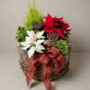 Holiday basket with red and white poinsettias and a plaid ribbon