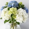 A vase of hydrangeas creates a simple and elegant floral arrangement.
This beautiful