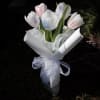 Delicate, graceful, and full of quiet beauty, Whispers of Spring features a