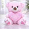Pink teddy bear holding a heart that says LOVE