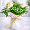 Bouquet of white roses and baby's breath wrapped in white paper with a gold ribbon