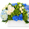 Blue hydrangeas and cream roses arranged in a white rectangular vase