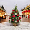 Christmas trees arrangement