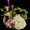 Modern and unique flowers design, with assorted colors