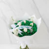 Elegant green and white bouquet featuring premium green roses, delicate white tulips