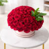 A lush dome of velvety red roses arranged in a pale pink