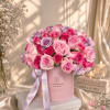 Roses Pink