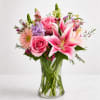 Soft, elegant, and full of charm, Blushing Garden Elegance&trade; features gorgeous pink