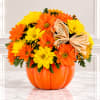 Orange and yellow daisy arrangement in a pumpkin-shaped container with a raffia bow