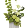 Refresh their space with the Garden Symphony Bouquet, a modern mix of