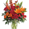 The bright stuff for punching up anyone's mood! Bring happiness to any