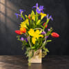 Colorful bouquet of tulips and irises in a cream basket with butterfly accents