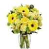 this arrangement will be made in a variety of yellow and white