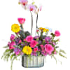 Tall pale Phalaenopsis orchids rise above a cheerful mix of blooms in