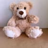 Plush teddy bear with a brown ribbon sitting against a plain background