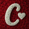 Baby's breath letter - Size &amp; price varies depending on bouquet size