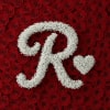 Baby's breath letter - Size &amp; price varies depending on bouquet size