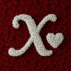 Baby's breath letter - Size &amp; price varies depending on bouquet size