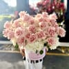 A lush cluster of pale blush roses layered over a cloud of