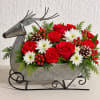 Red roses and white daisies in a metal reindeer planter with pinecones